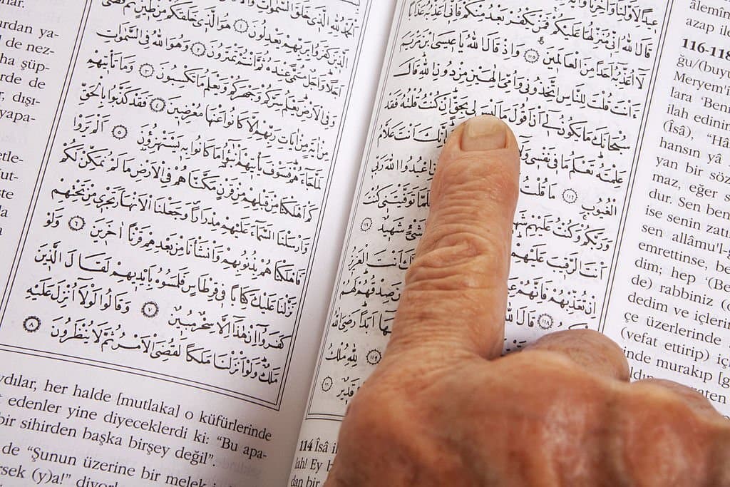 Quran Translation